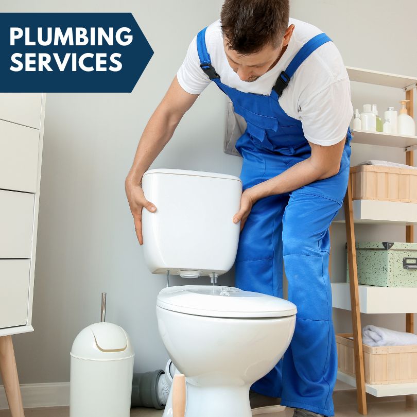 Plumbing Company in Mendota, IL